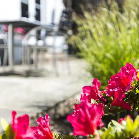 Windermere Suites Affittacamere Windermere