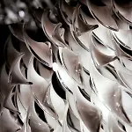 Windermere Suites Windermere