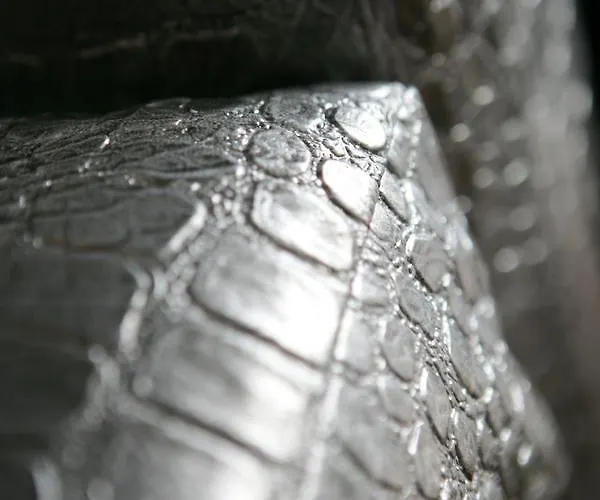 أجنحة ويندرمير