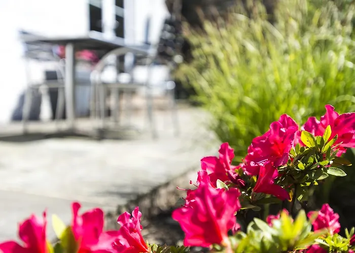 أجنحة بيت ضيافة ويندرمير