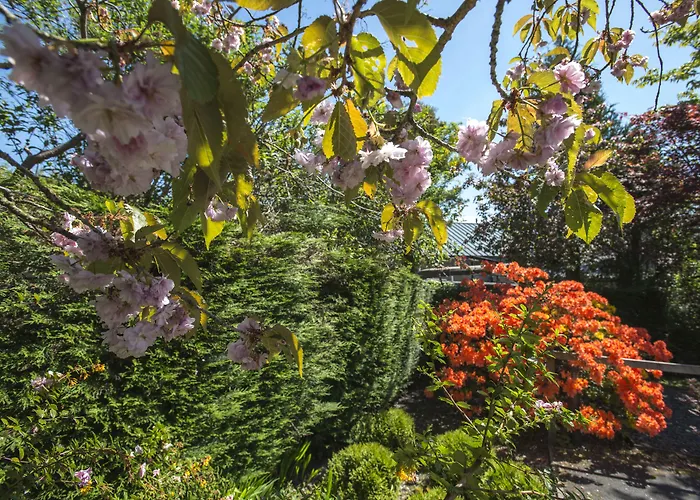 Windermere Suites Pensión