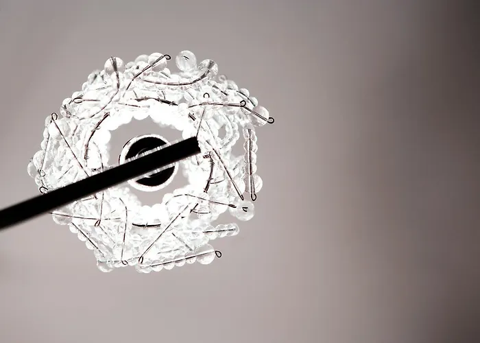 Windermere Suites Pensión