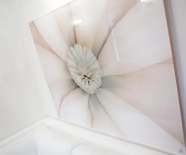 Windermere Suites 5* Windermere